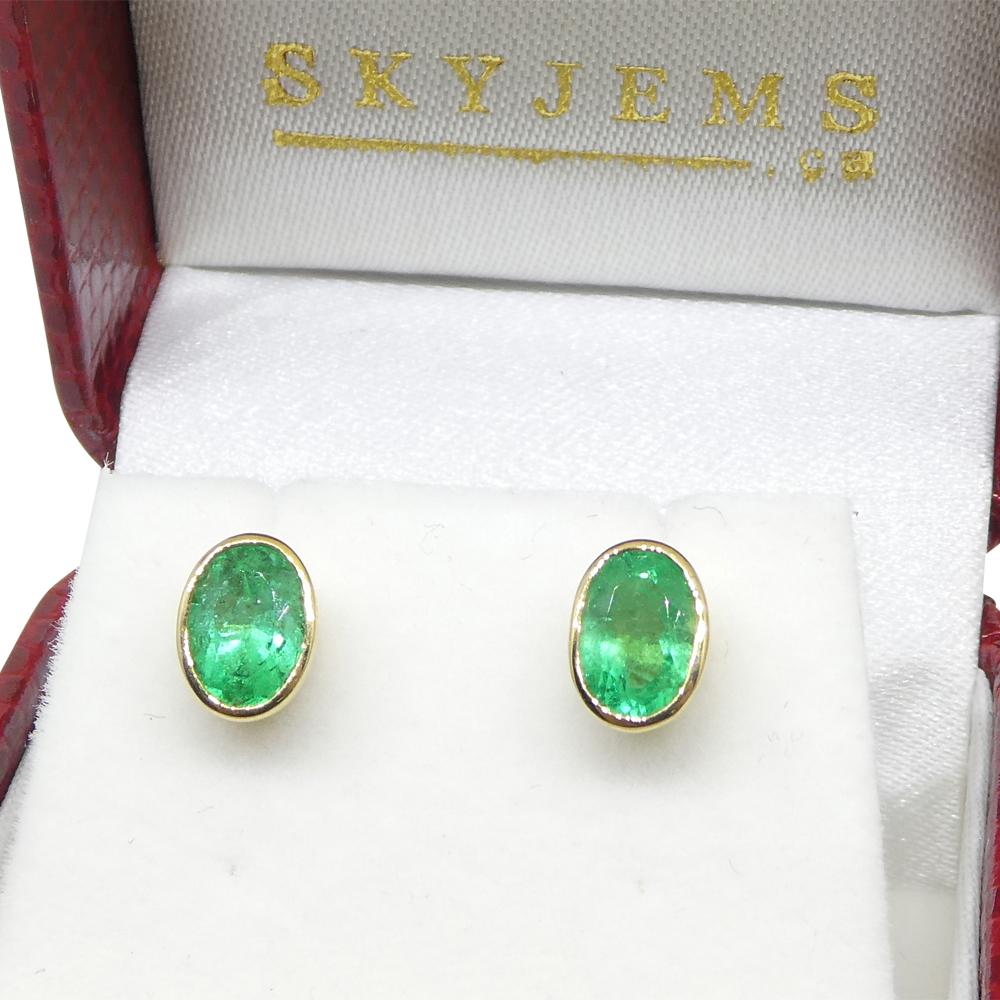1.49ct Colombian Emerald Stud Earrings set in 18k Yellow Gold In New Condition For Sale In Toronto, Ontario