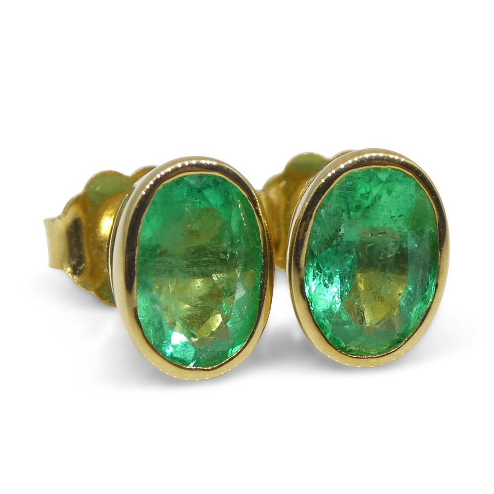 Oval Cut 1.49ct Colombian Emerald Stud Earrings set in 18k Yellow Gold For Sale