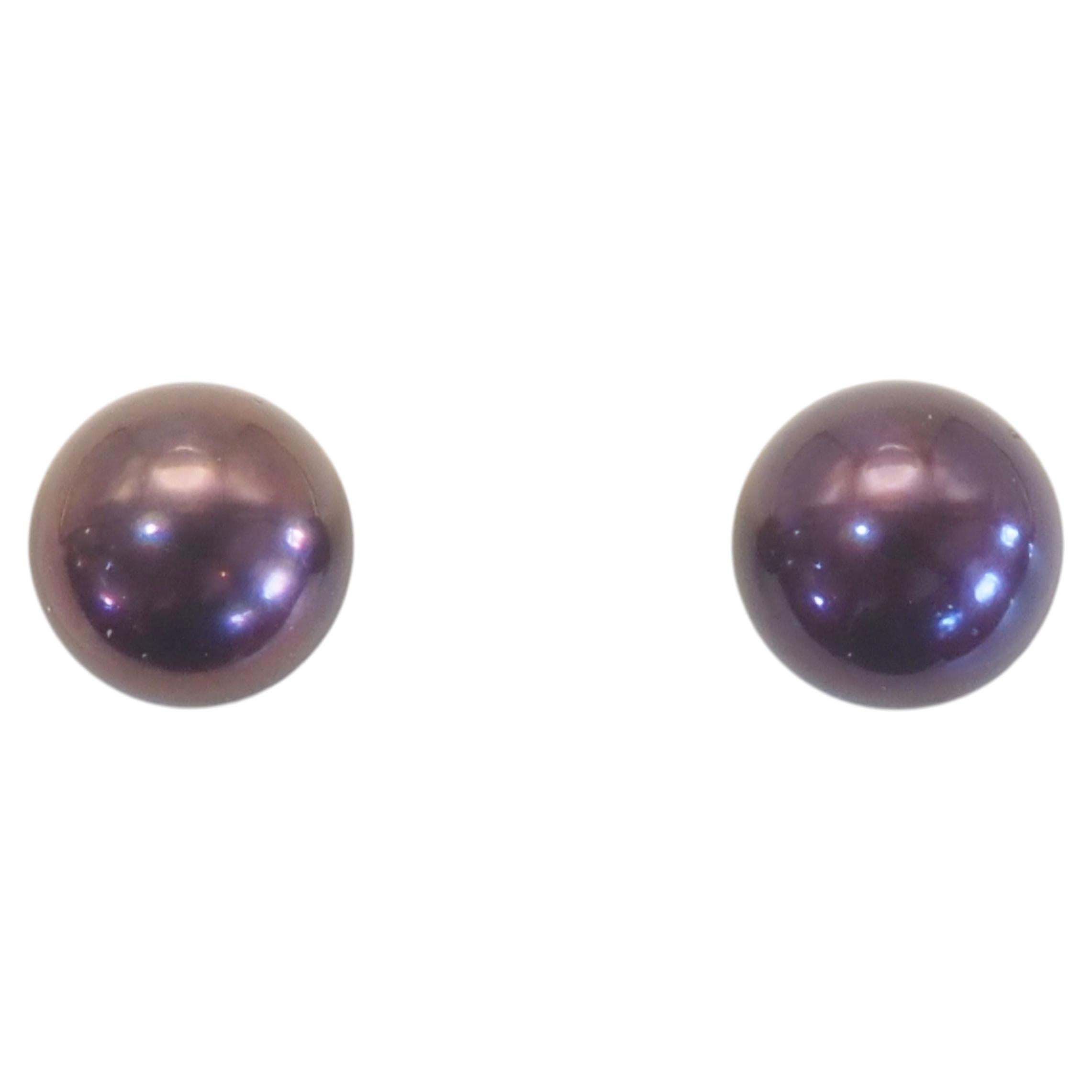 14K Gold 6,8mm Schwarze Aubergine Meeresperlen Ohrstecker im Angebot