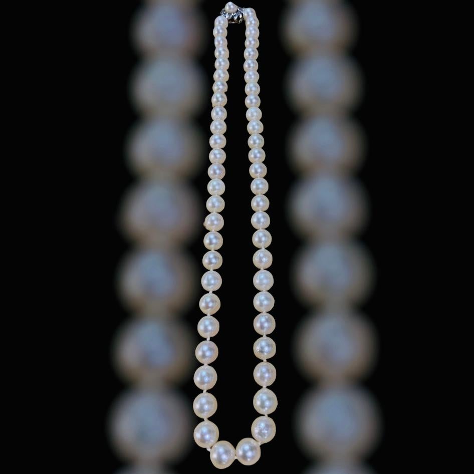 Halskette aus 14 Karat Gold Akoya-Perlen und Diamanten  im Angebot 6