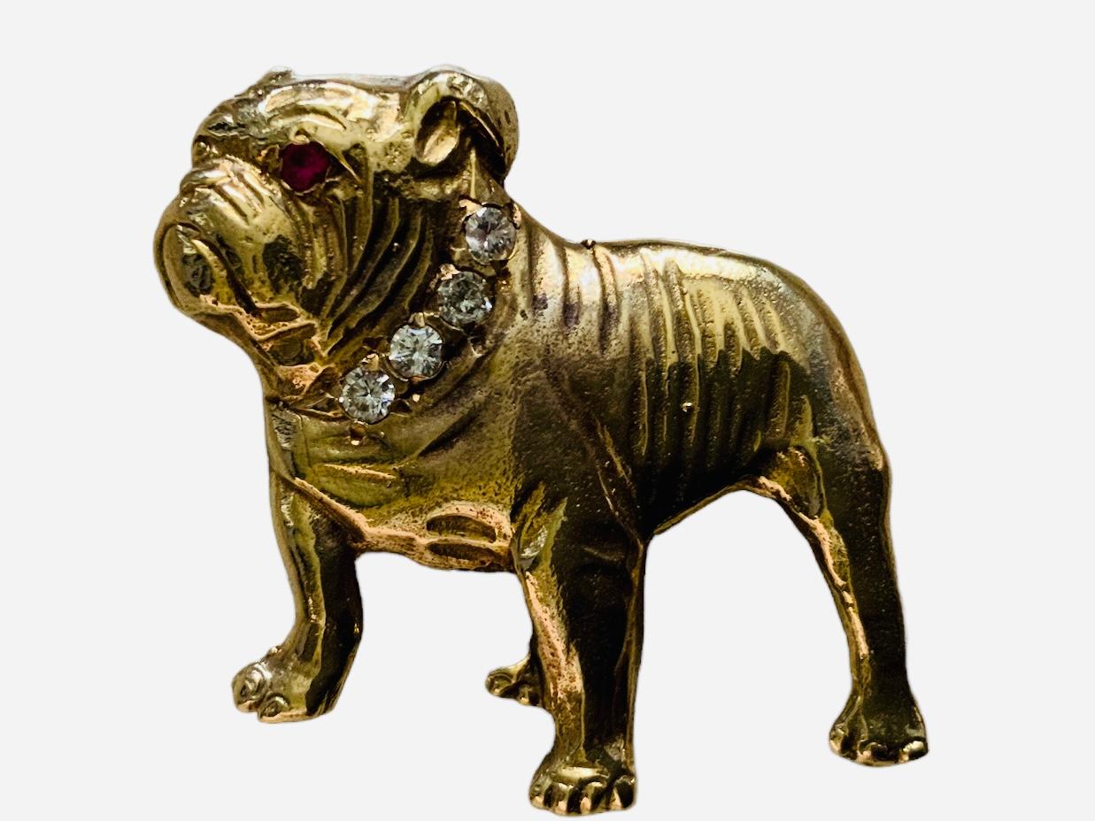 gold english bulldog