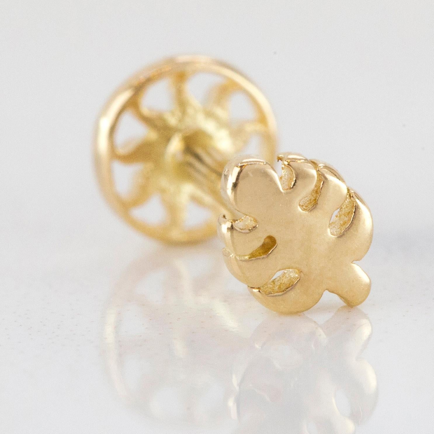 14K Gold Monstera Leaf Piercing, Gold Monstera Earring

You can use the piercing as an earring too! Also this piercing is suitable for tragus, nose, helix, lobe, flat, medusa, monreo, labret and stud.

This piercing was made with quality materials
