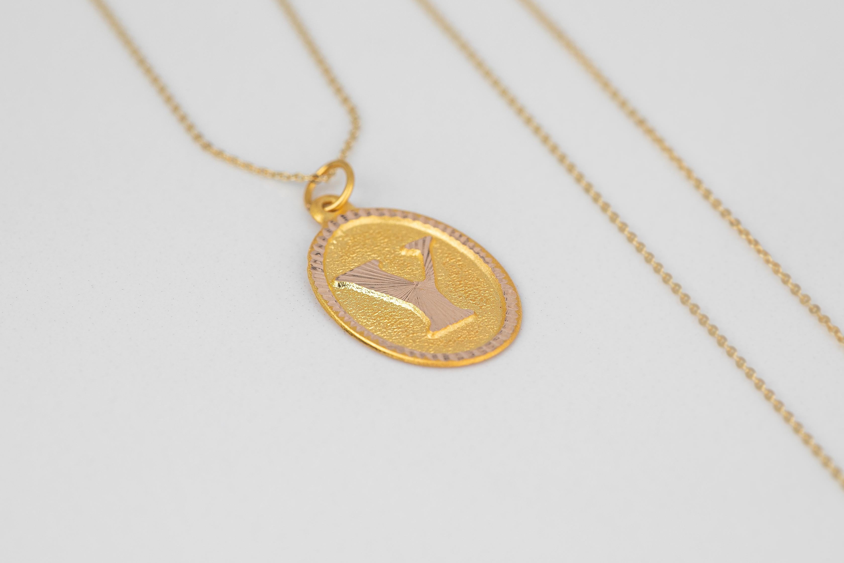 14K Gold Necklaces, Letter Necklace Models, Letter Y Gold Necklace-Gift Necklace Models, Daily Necklaces, Letter Jewelry

It's a manual labor product. 'Handmade'. Fashionable product.

This necklace was made with quality materials and excellent