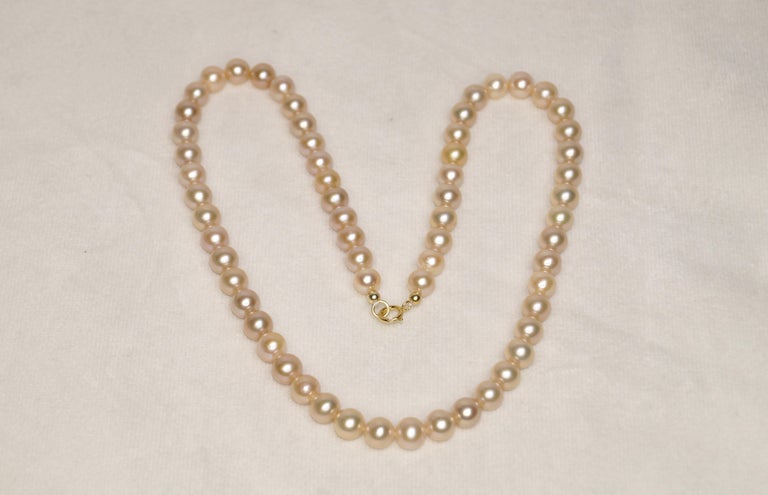 Add-a-Pearl Necklace - 7mm Pearl On 14K Gold Chain, Family Tradition Jewelry