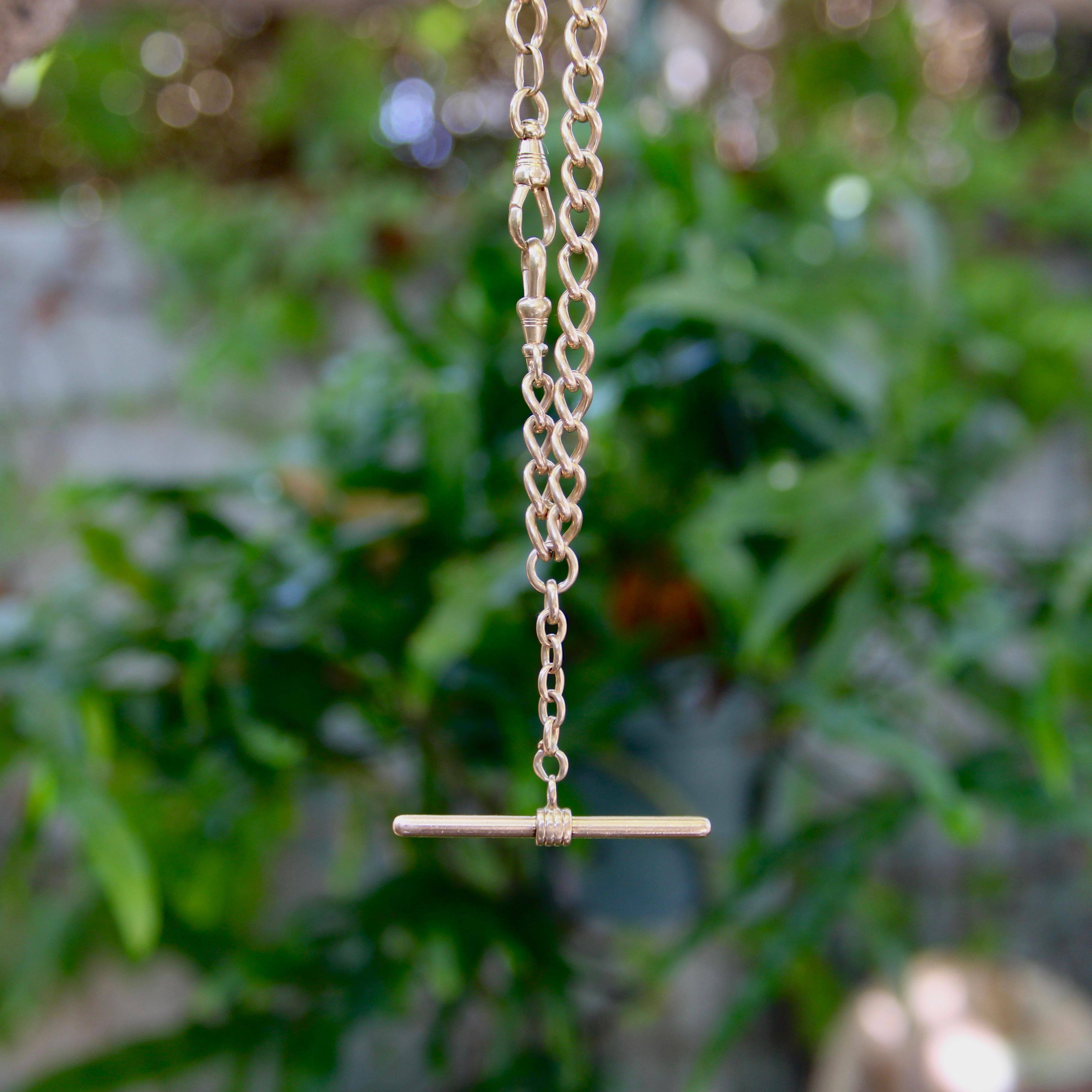 Cadena Victoriana Príncipe Alberto de Oro de 14K con Barra en T y Clips para Perro en venta 2