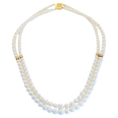 Chain Necklaces
