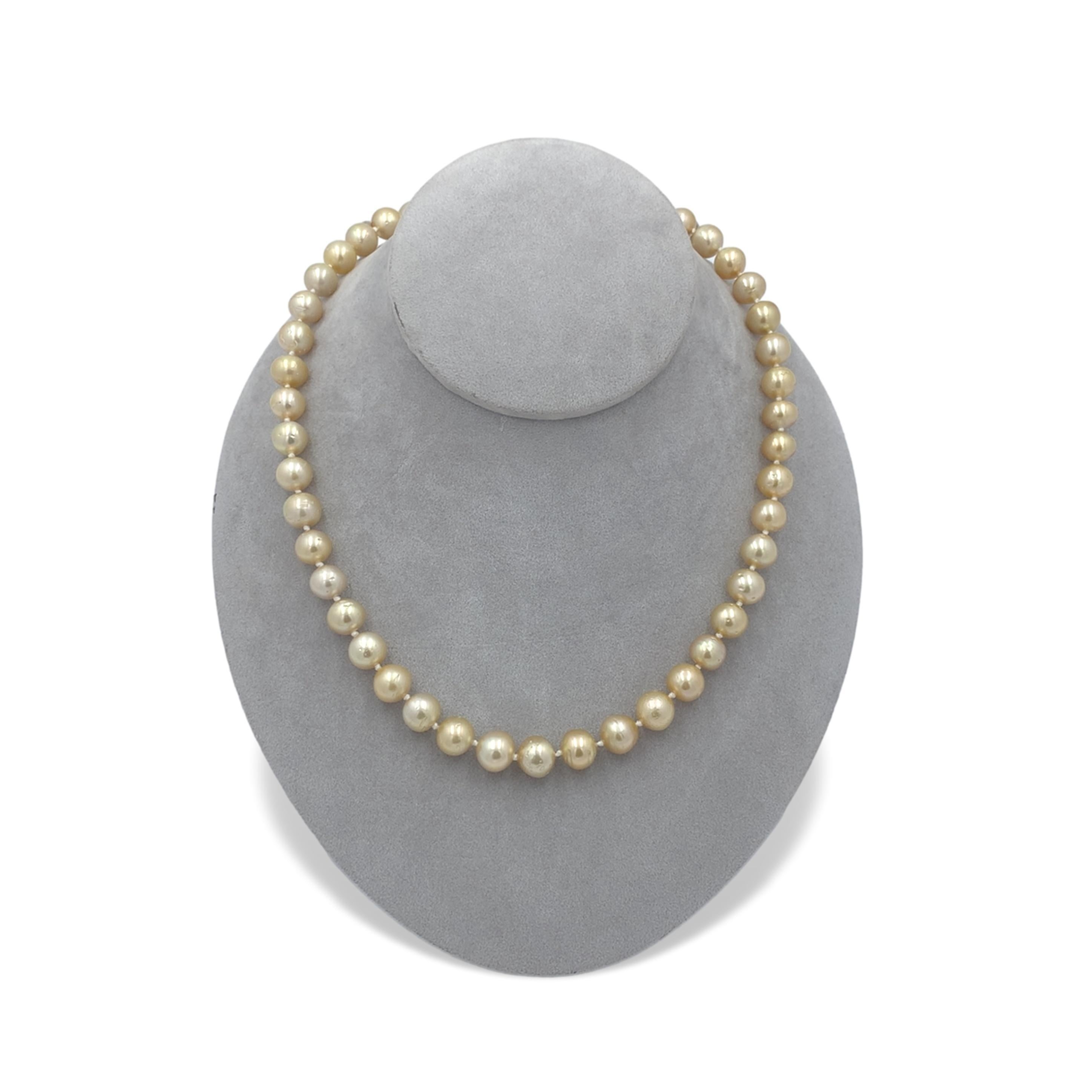 14K Golden South Sea Pearl 9-10mm Strand Necklace 18.5