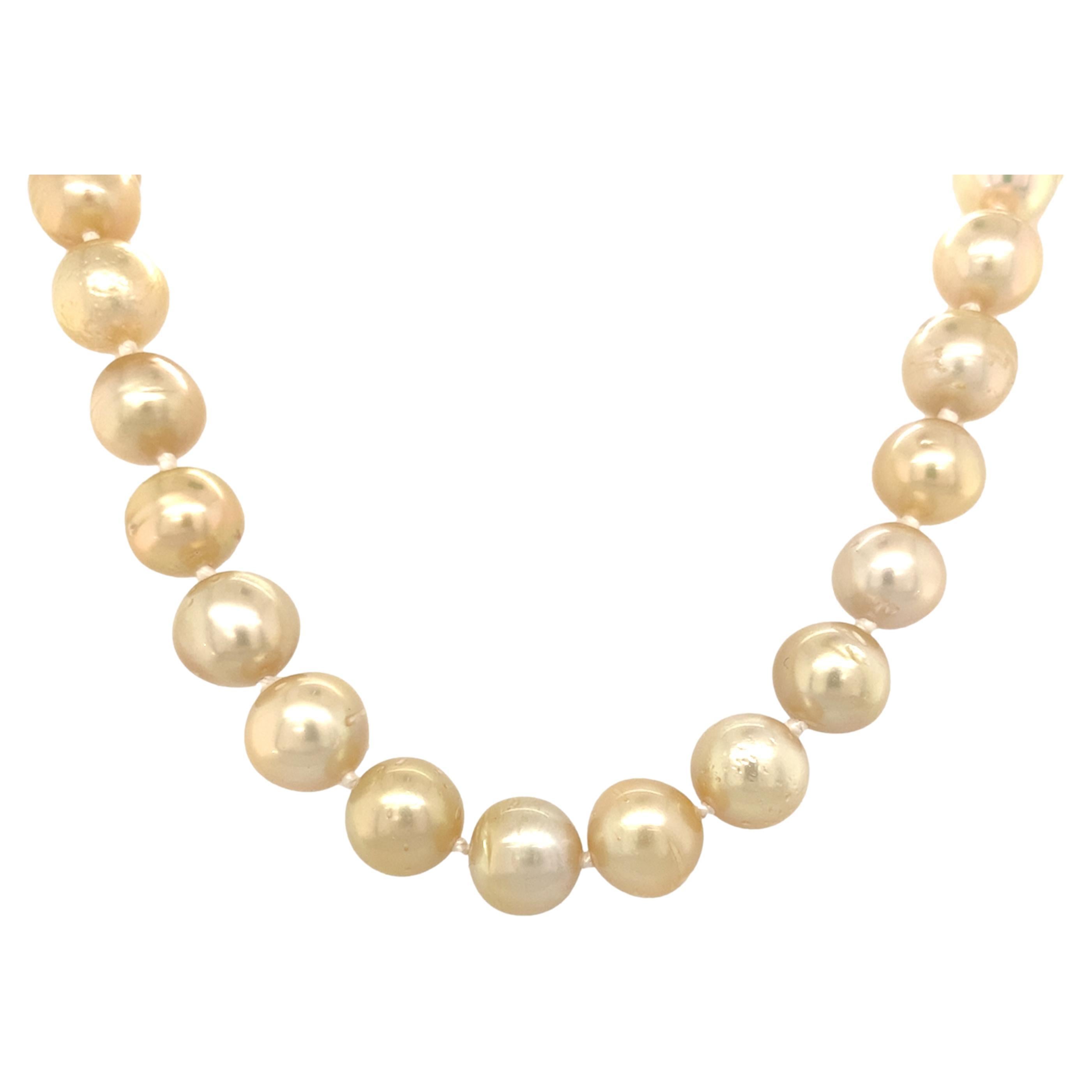 14K Golden South Sea Pearl 9-10mm Strand Necklace 18.5"