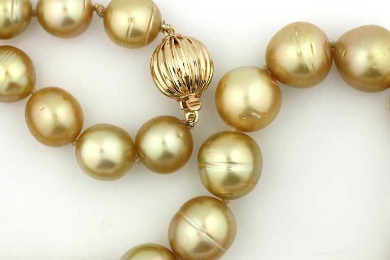 14K Golden South Sea Pearl Necklace at 1stDibs