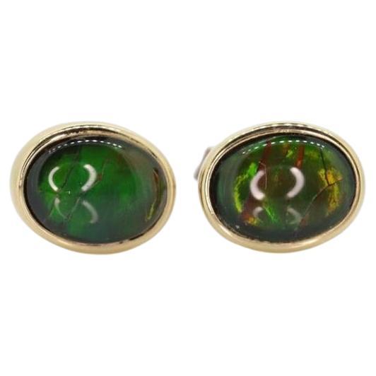14k Oval Bezel Set Ammolite Earrings. Ammolite Fossil stud Earrings. For Sale