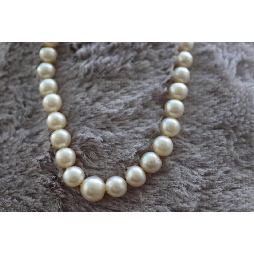 14k Sapphire Graduated Pearl Choker one thread necklace. Large Pearl Necklace. For Sale 3