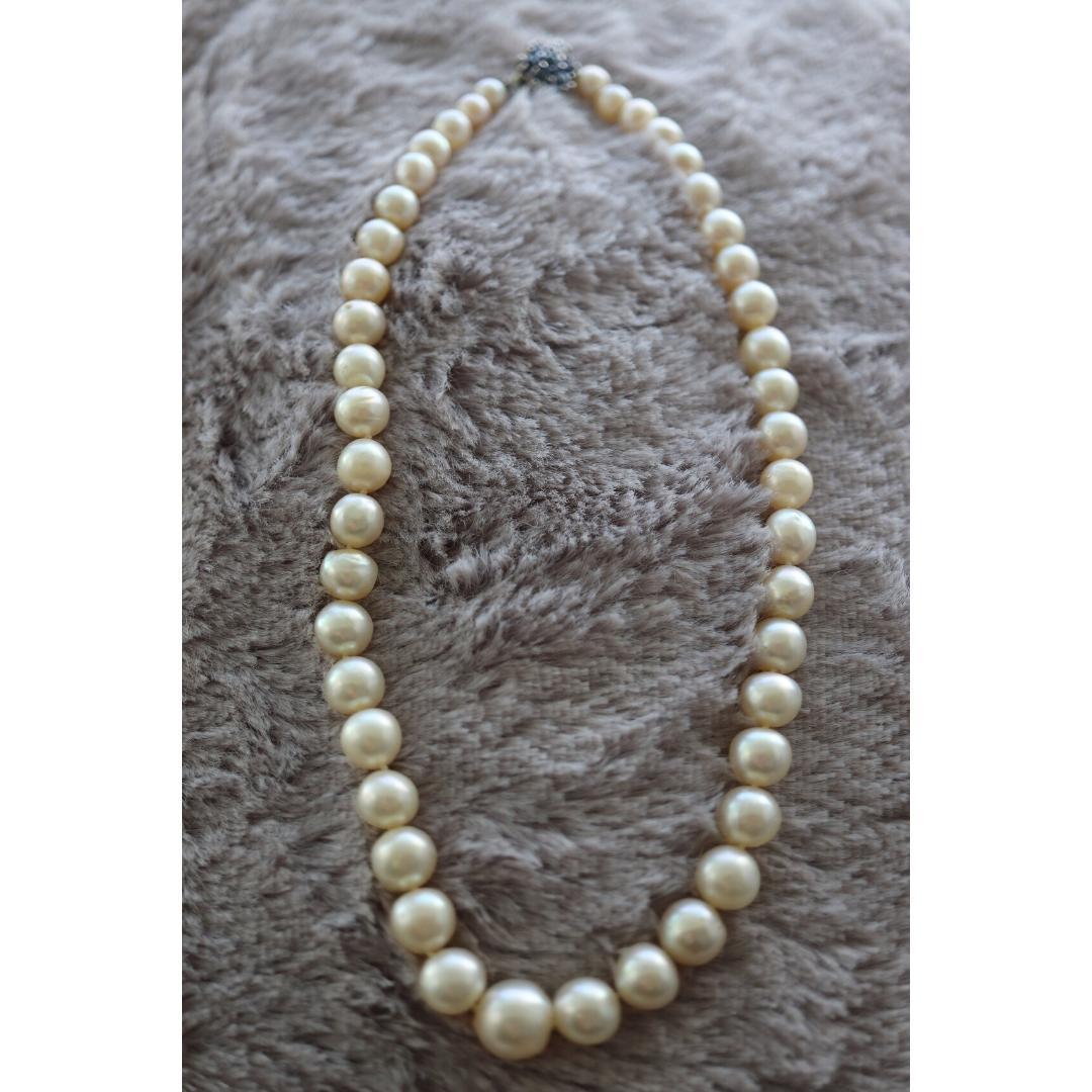 14k Sapphire Graduated Pearl Choker one thread necklace. Large Pearl Necklace. For Sale 4