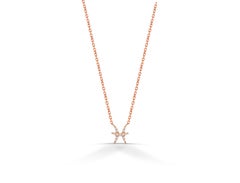 14k Massivgold Diamant-Halskette mit Tierkreiszeichen, Geburtsschild