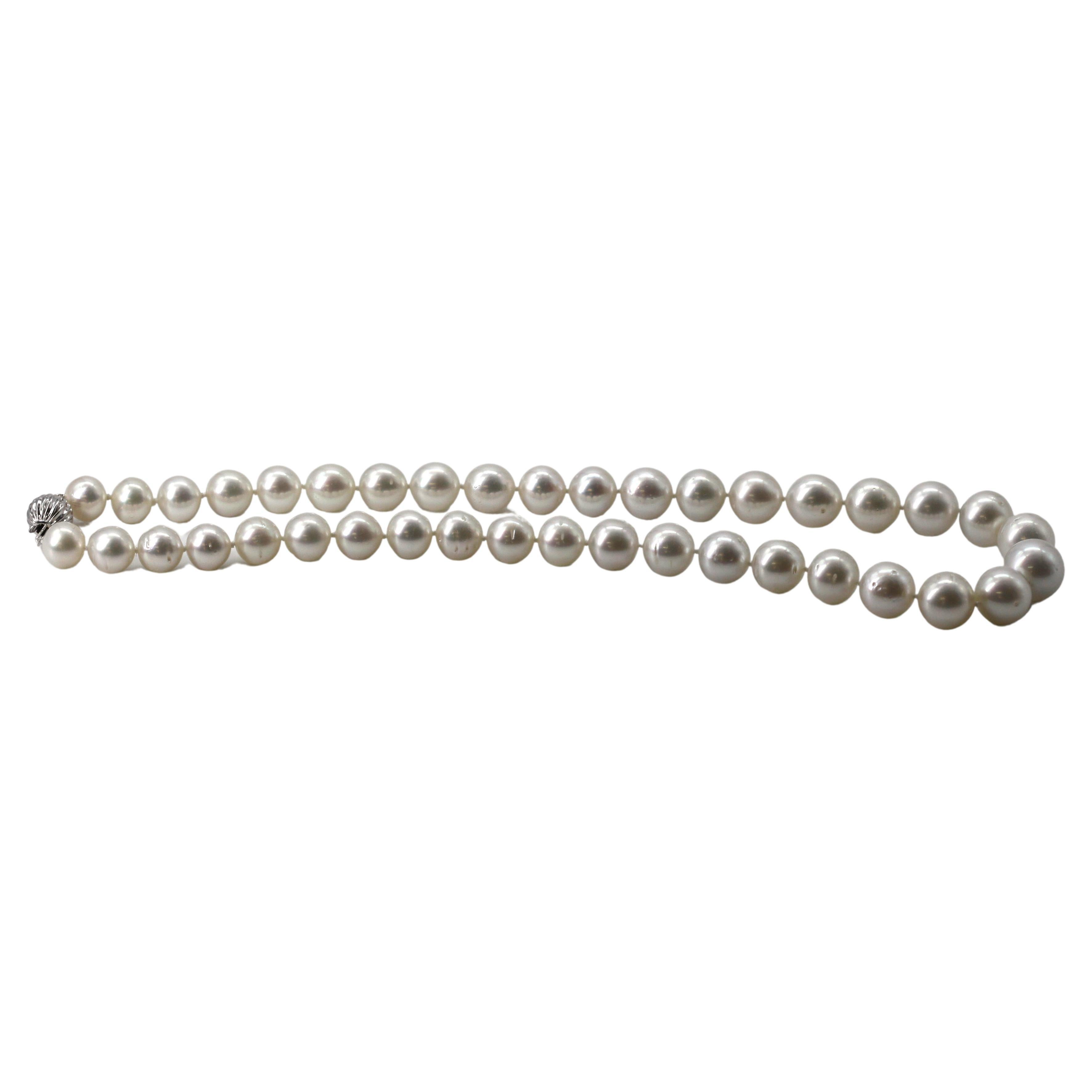 14K South Sea Pearl Necklace