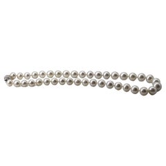 14K South Sea Pearl Necklace