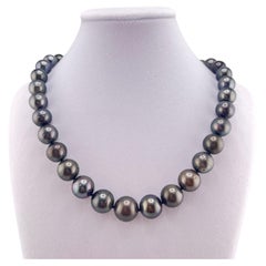 14k Tahitian Pearl Necklace