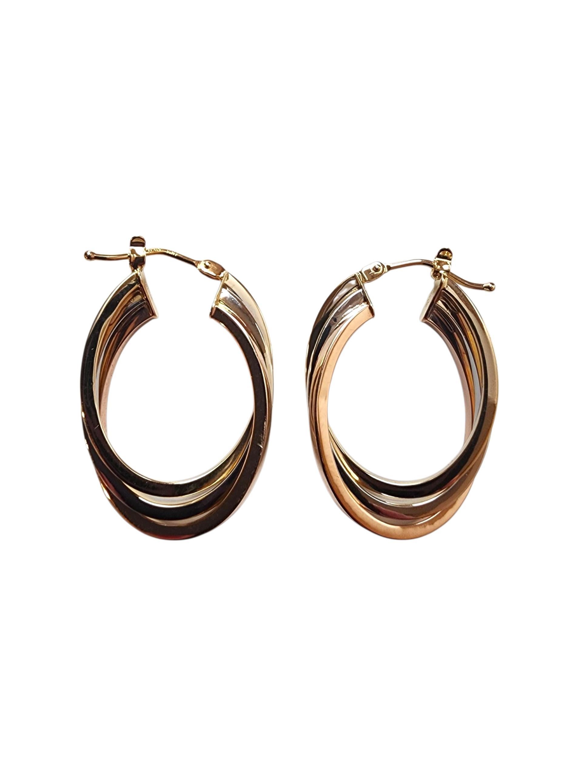 14K Tri - Color Triple Hoop Earrings -

These 14K tri-color triple hoop earrings combine yellow, white, and rose gold in an elegant intertwined design. With their layered look and radiant finish, they offer a sophisticated blend of color and
