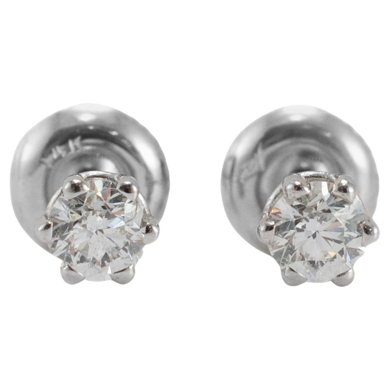 14K White Gold 6-Prong Screw Back 0.50ct Diamond Stud Earrings
