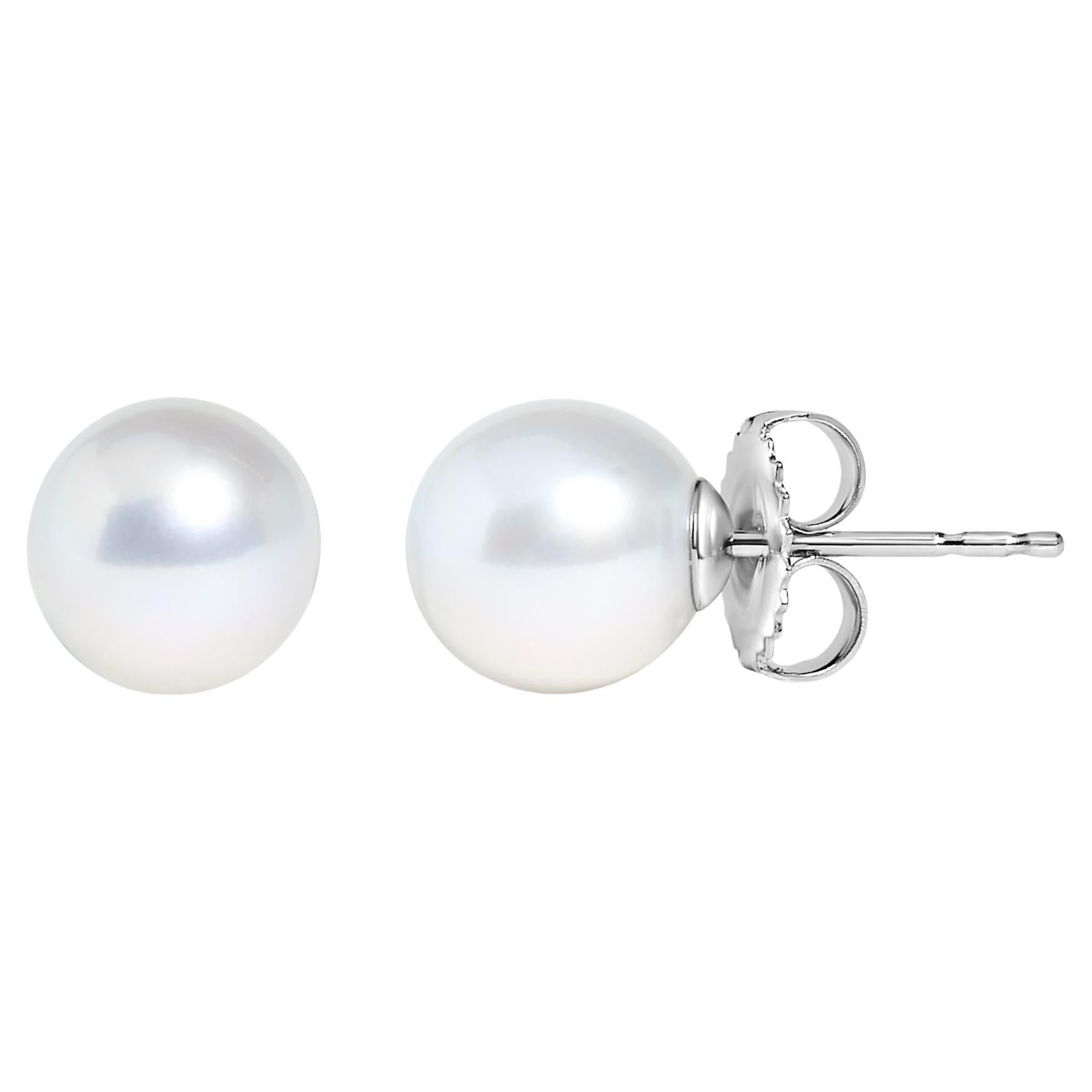14K Weißgold 7,5-8MM Süßwasserzuchtperlen Solitär-Ohrstecker im Angebot