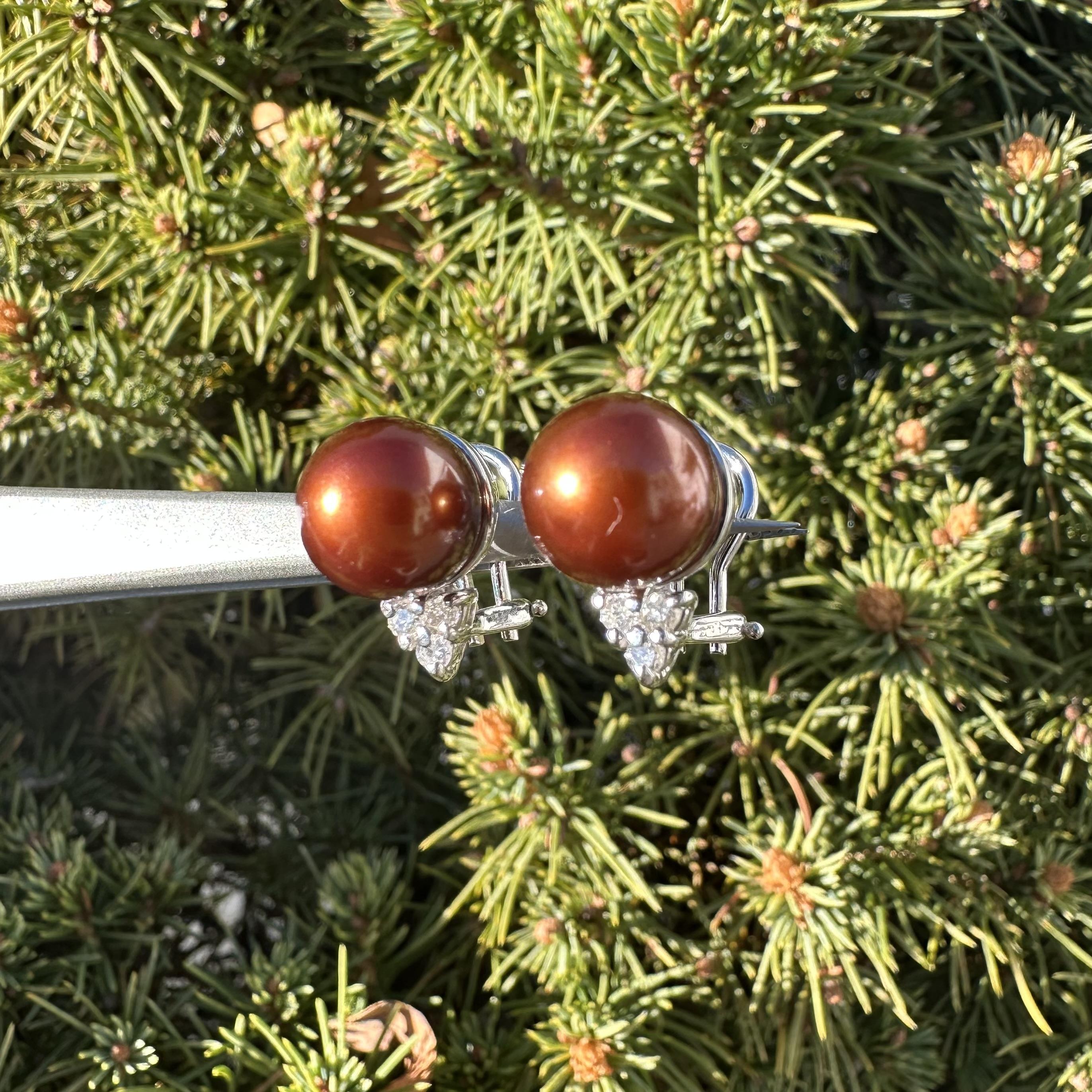 Pendientes Elegantes de Oro Blanco de 14k Perla Marrón Chocolate de 9 mm con Diamante en venta 8