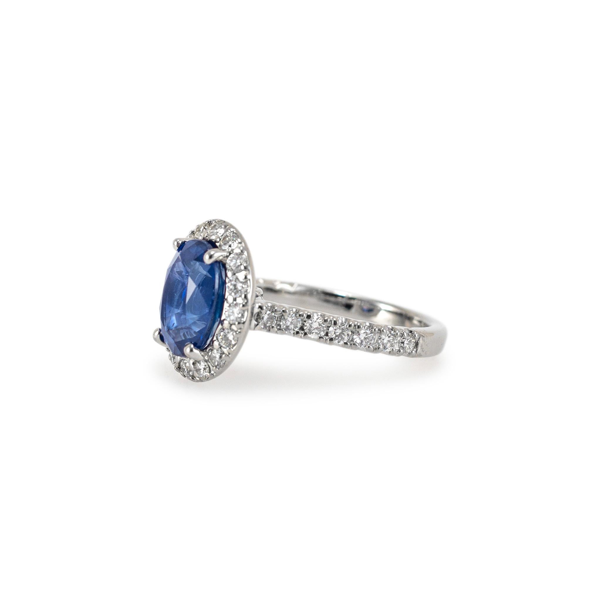 Anillo de cóctel de oro blanco de 14 quilates AGL Ceilán 3,54 ct Zafiro ovalado Halo de diamantes Corte oval en venta