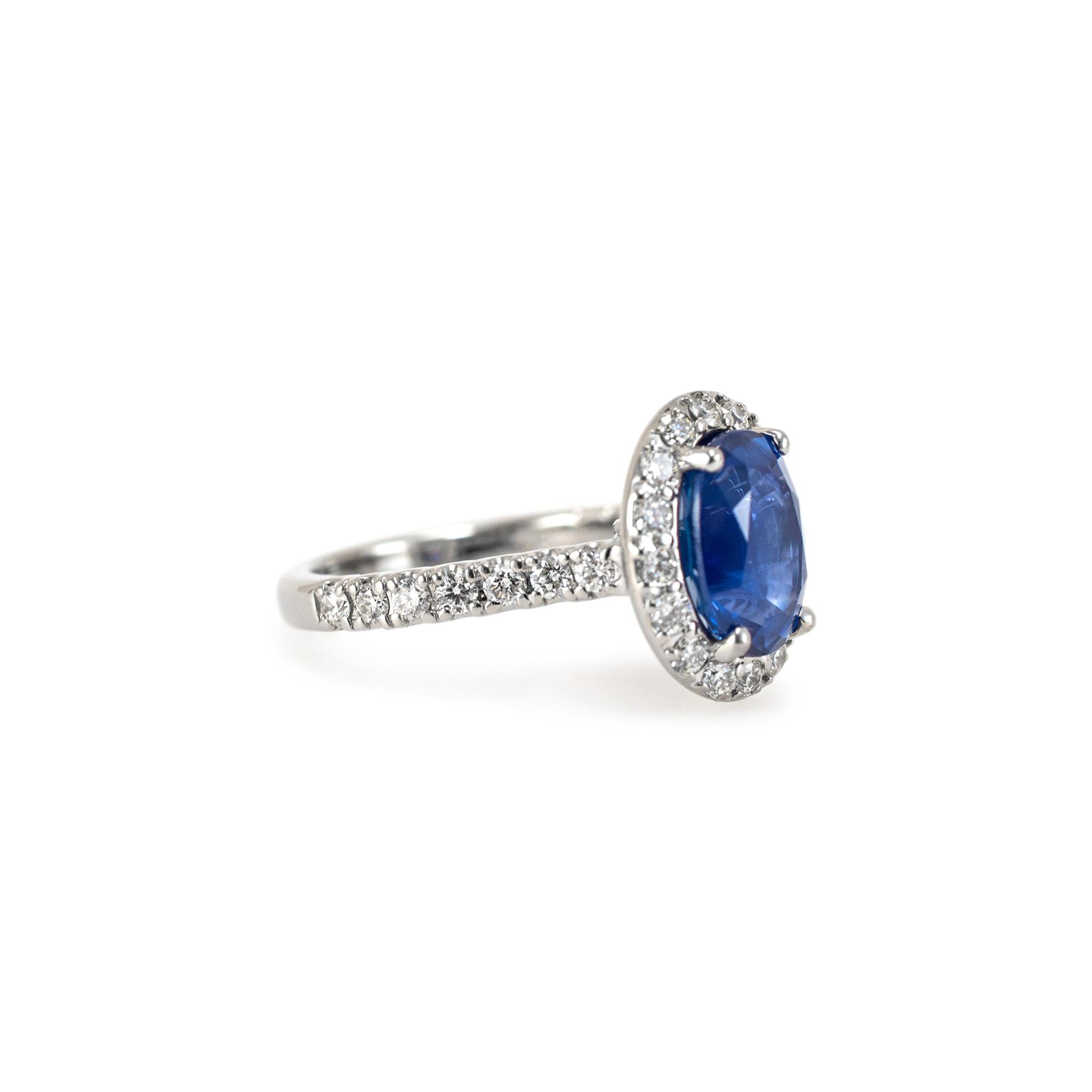 Anillo de cóctel de oro blanco de 14 quilates AGL Ceilán 3,54 ct Zafiro ovalado Halo de diamantes en Excelente estado para la venta en Houston, TX