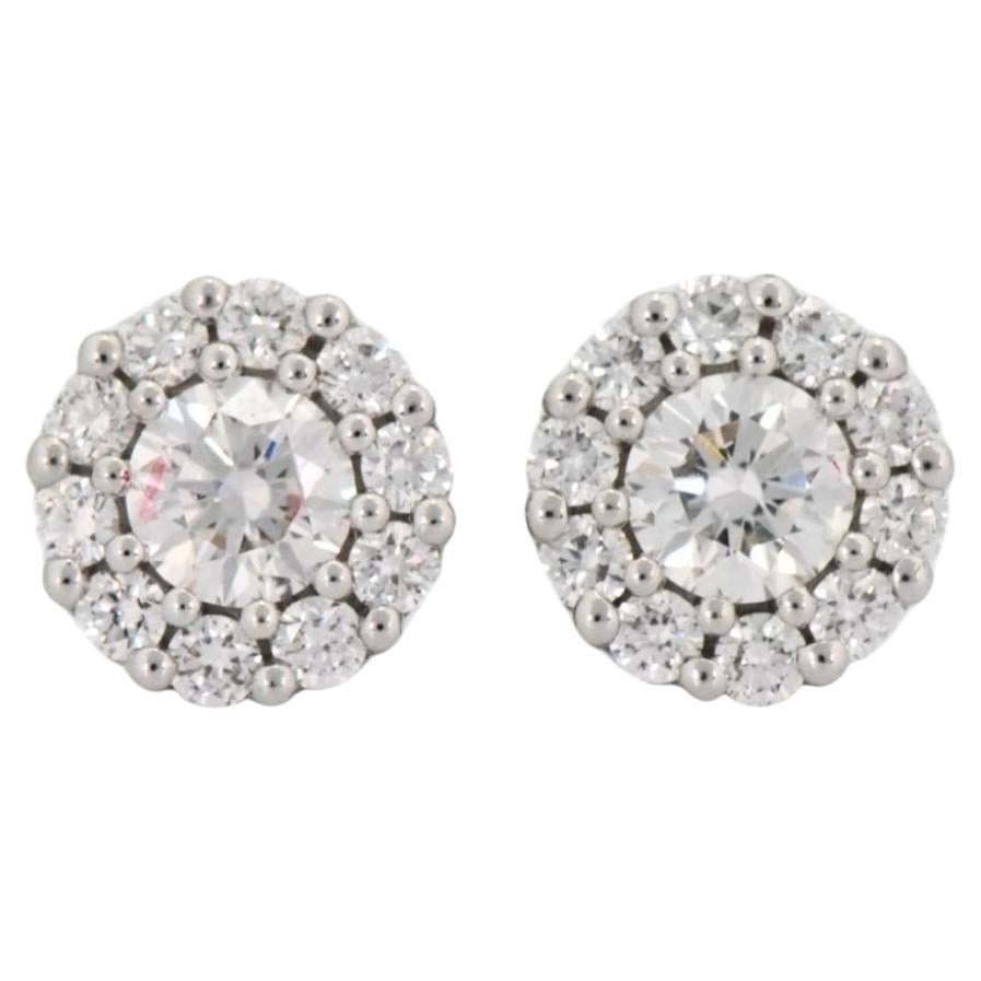 14K White Gold Diamond Cluster Stud Earrings