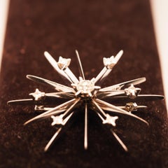 14K White Gold Diamond Starburst Spray Brooch