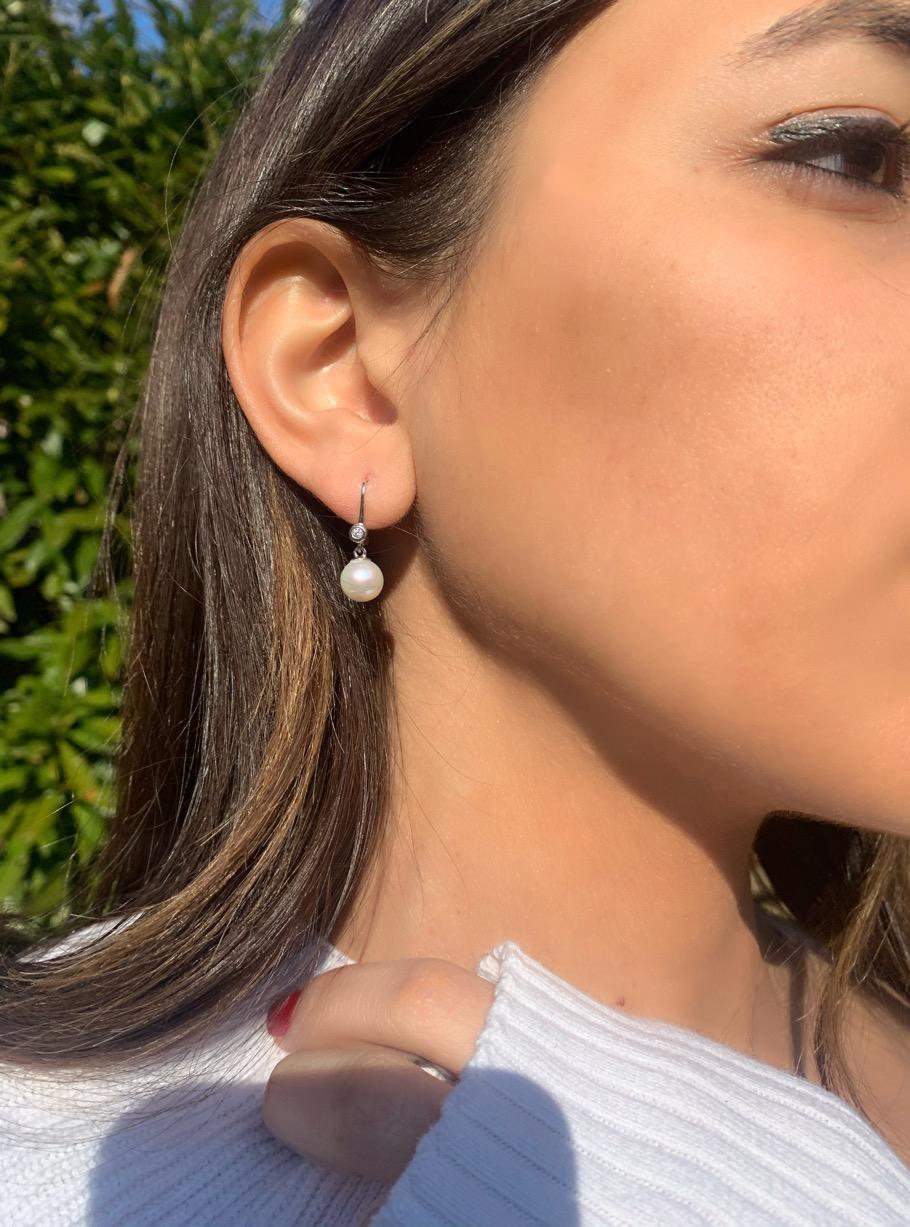 pearl leverback earrings white gold