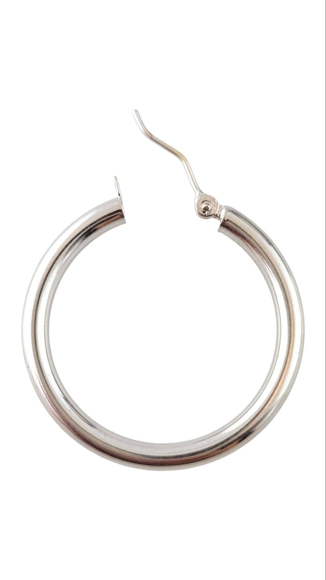 Women's 14K White Gold Hoop Earrings #15166 For Sale