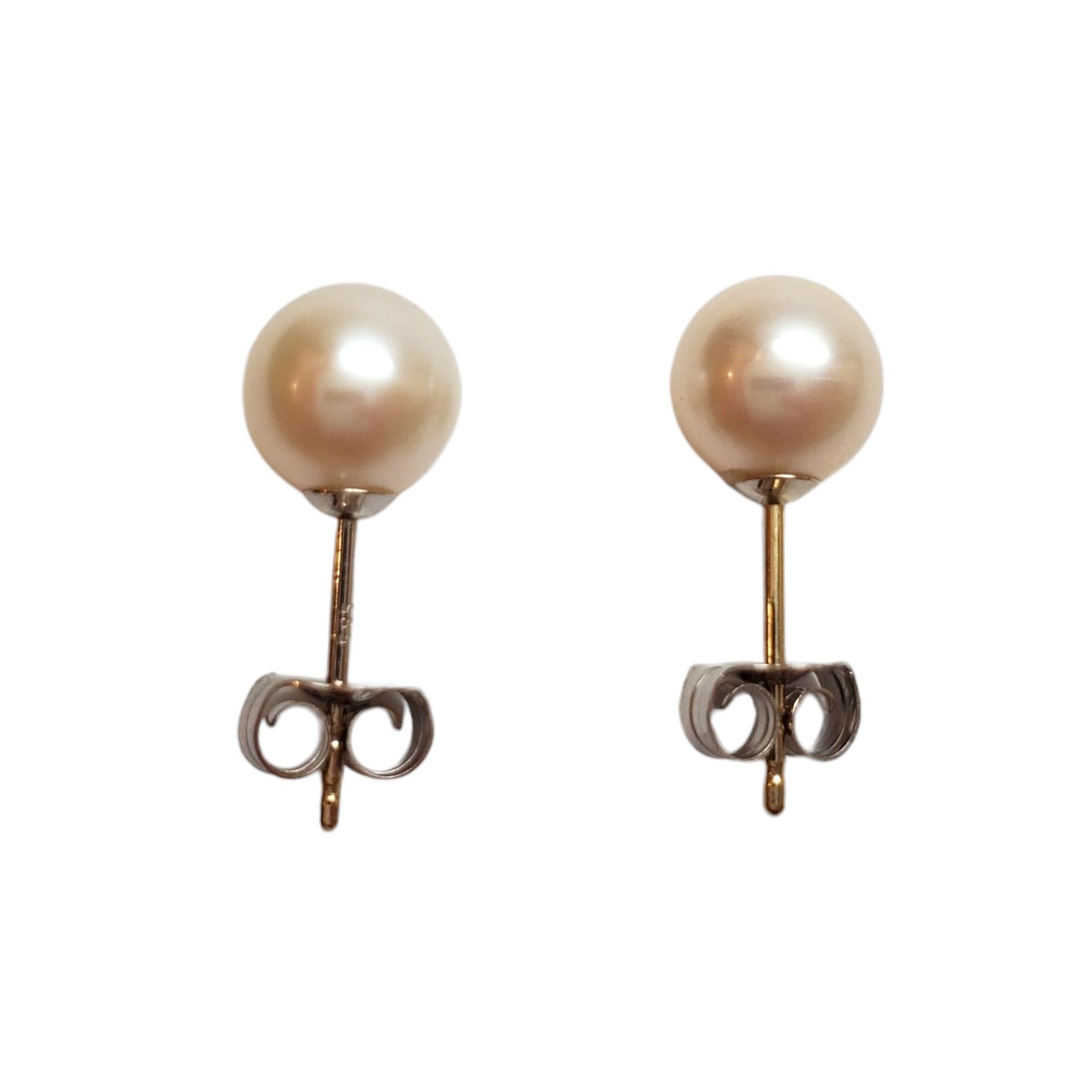 Orecchini con perle in oro bianco 14K 

Questi orecchini classici sono un'aggiunta semplice alla tua collezione. 

Marcato: 585 

Dimensione della perla 7 mm

Lunghezza: 17 mm

Peso: 0,86 dwt/ 1,34 g

AD60324/17KCS