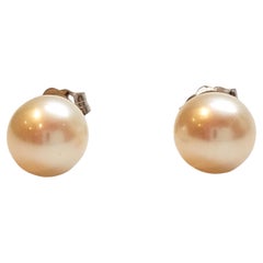 14K White Gold Pearl Stud Earrings #17741