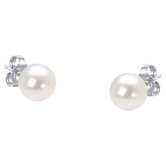 14K White Gold Round Freshwater Akoya Cultured AAA+ Quality Pearl Stud Earrings