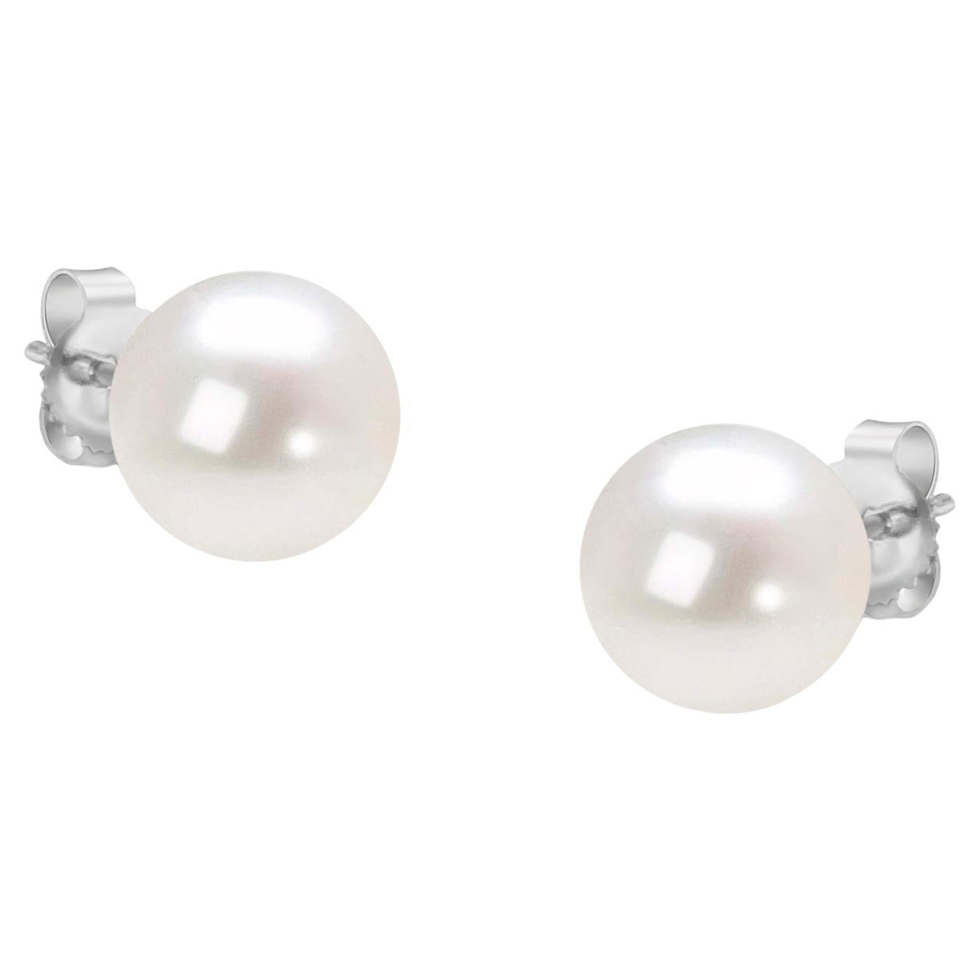 14K White Gold Round Freshwater Akoya Cultured AAA+ Quality Pearl Stud Earrings For Sale