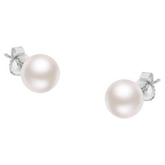 14K White Gold Round Freshwater Akoya Cultured Pearl Stud Earrings AAA+ Quality