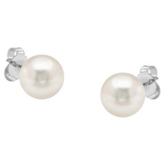 14K White Gold White Saltwater Akoya Cultured Pearl Stud Earrings AAA+ Quality