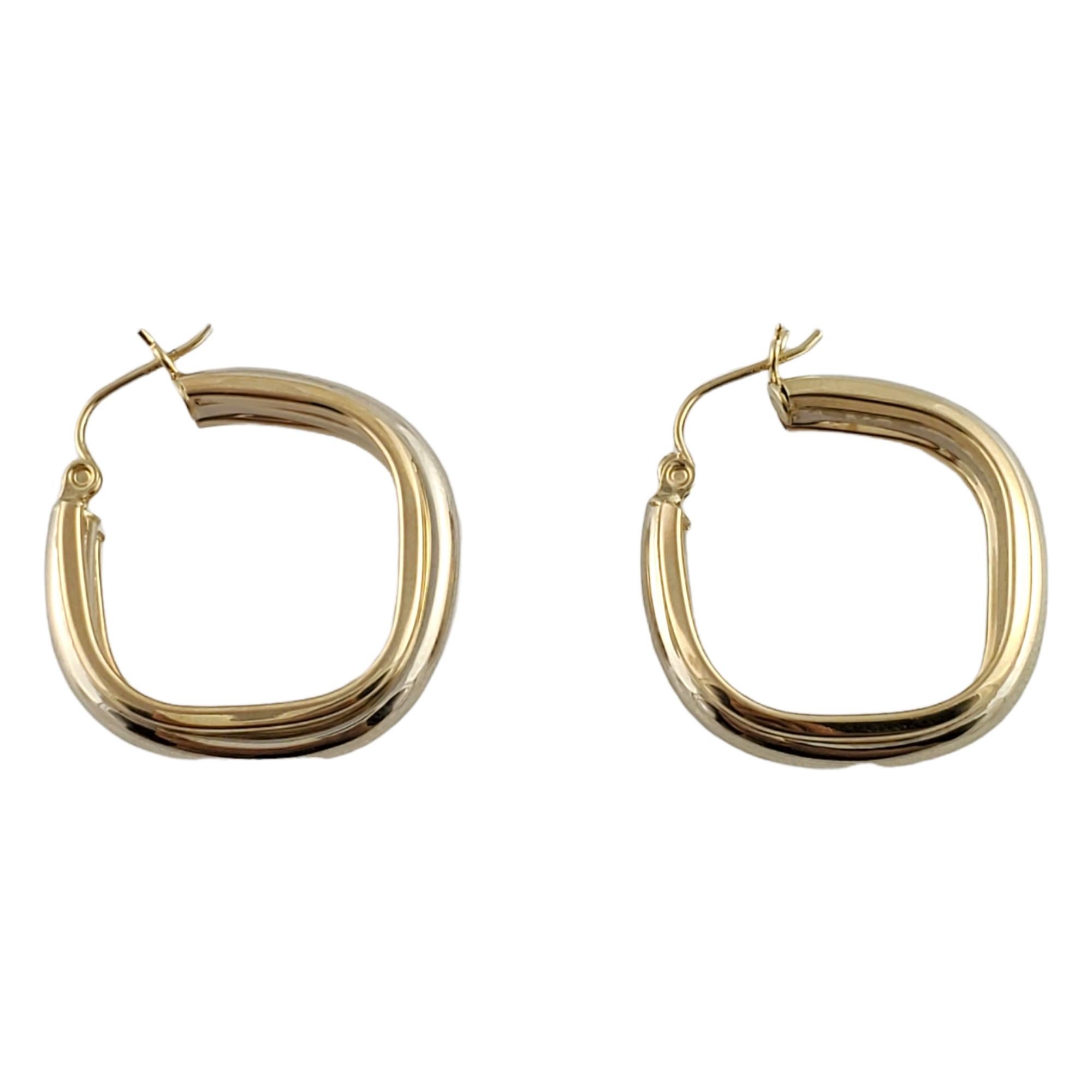 square hoop earrings white gold