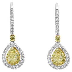 Ohrringe aus 14-karätigem Gelb- und Weißgold mit gelben und weißen Diamanten im Doppel-Halo-Design