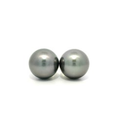 14k Yellow Gold 10mm Gray Tahitian Pearl Elegant Stud Earrings