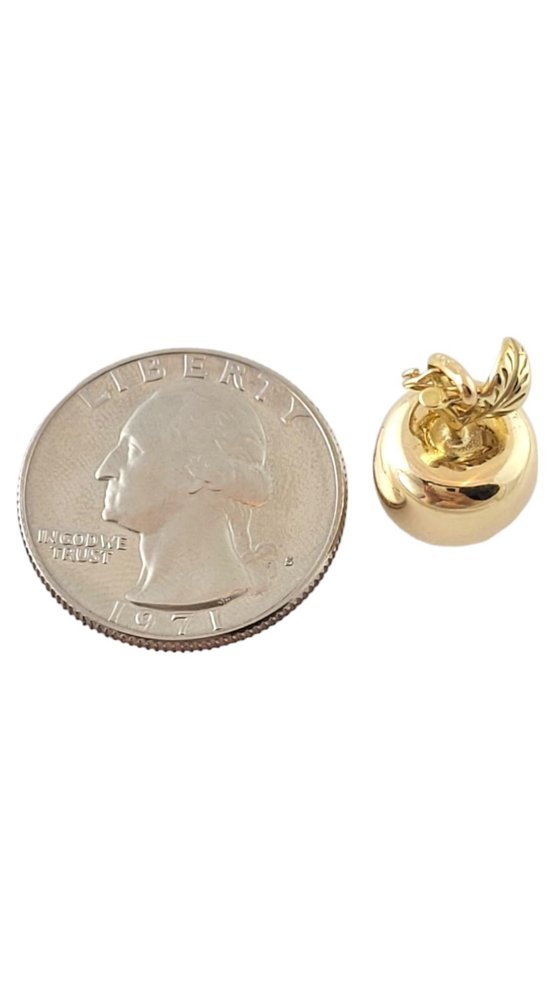 14K Yellow Gold Apple Charm #17430 3