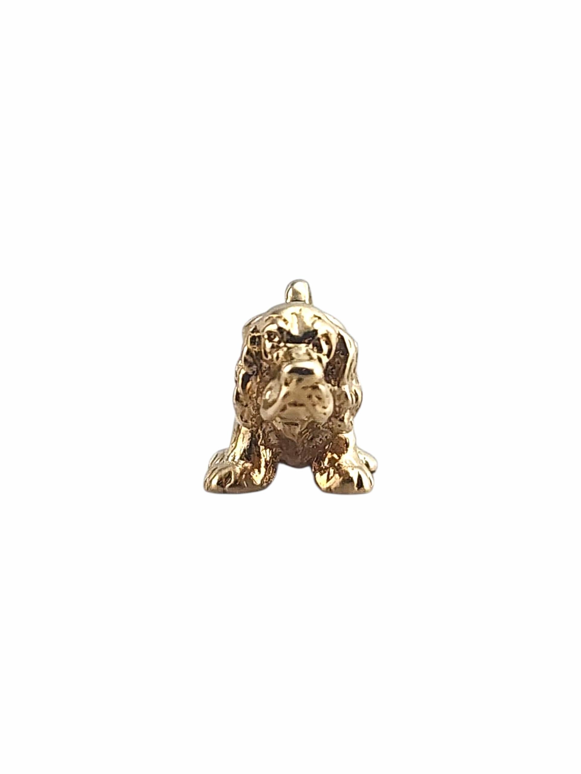 Charm en or jaune 14K pour chien Cocker Spaniel articulé -

Ajoutez une élégance ludique à votre collection avec cette breloque de chien articulé en or jaune 14 carats. Fabriquée de manière experte avec des membres mobiles pour un mouvement
