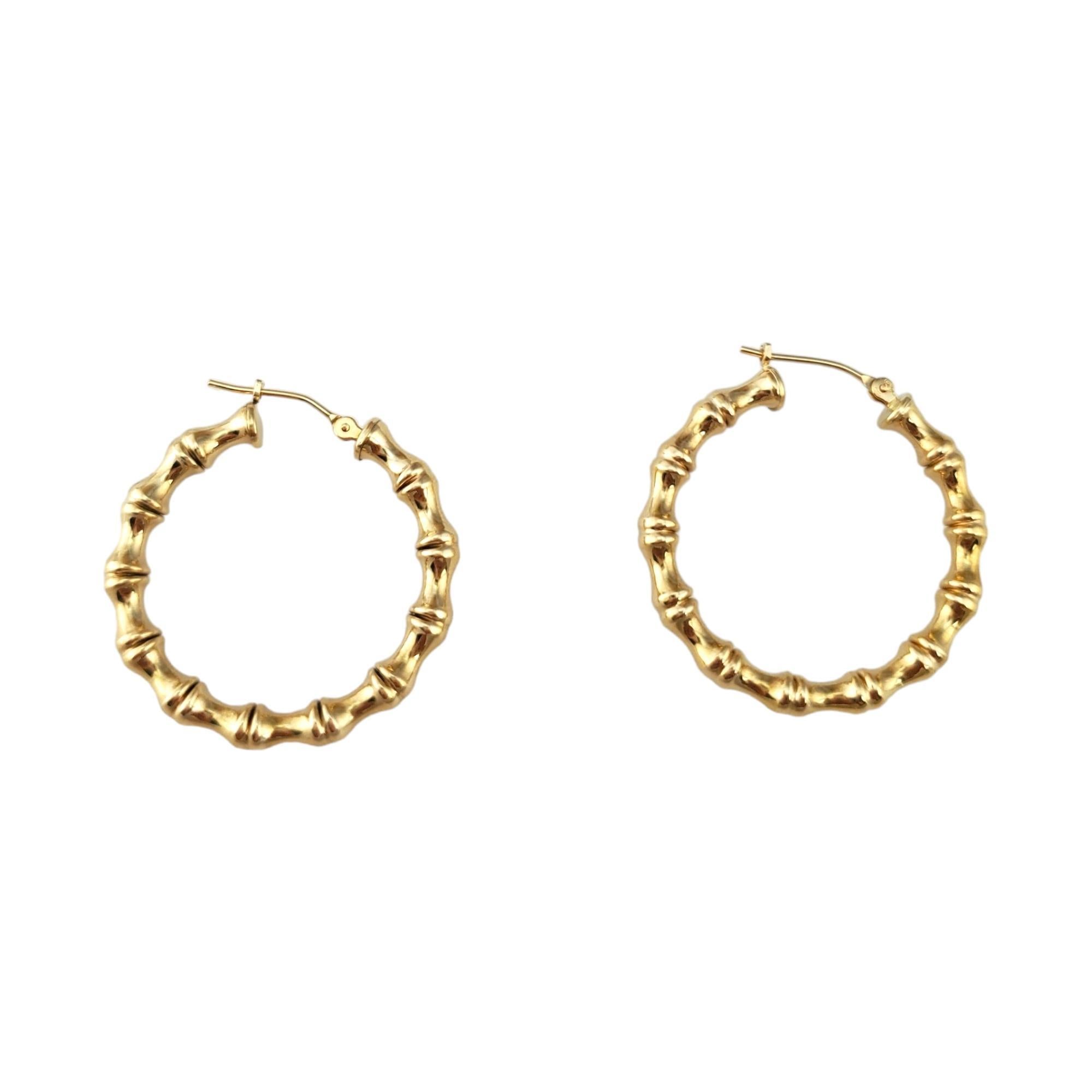 14K Yellow Gold Bamboo Hoops

Introducing our exquisite 14K Yellow Gold Bamboo Hoops, inspired by the natural beauty and strength of bamboo. Crafted from genuine 14K yellow gold, these hoops feature a unique design that mimics the segmented and