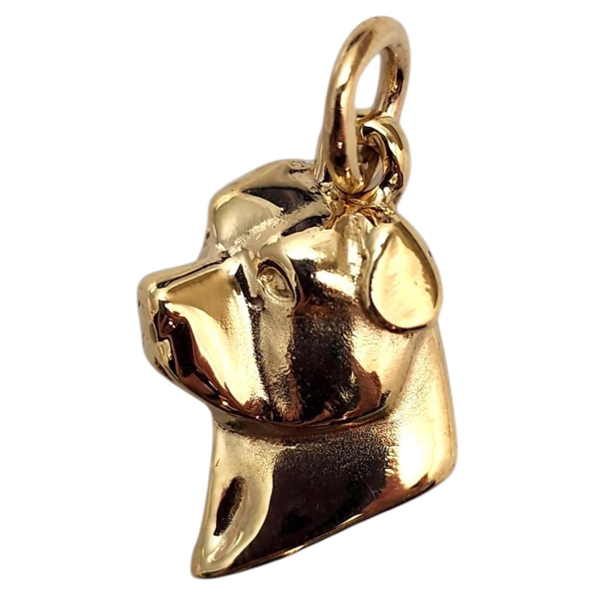Colgante con forma de perro Rottweiler de oro amarillo de 14K #25255