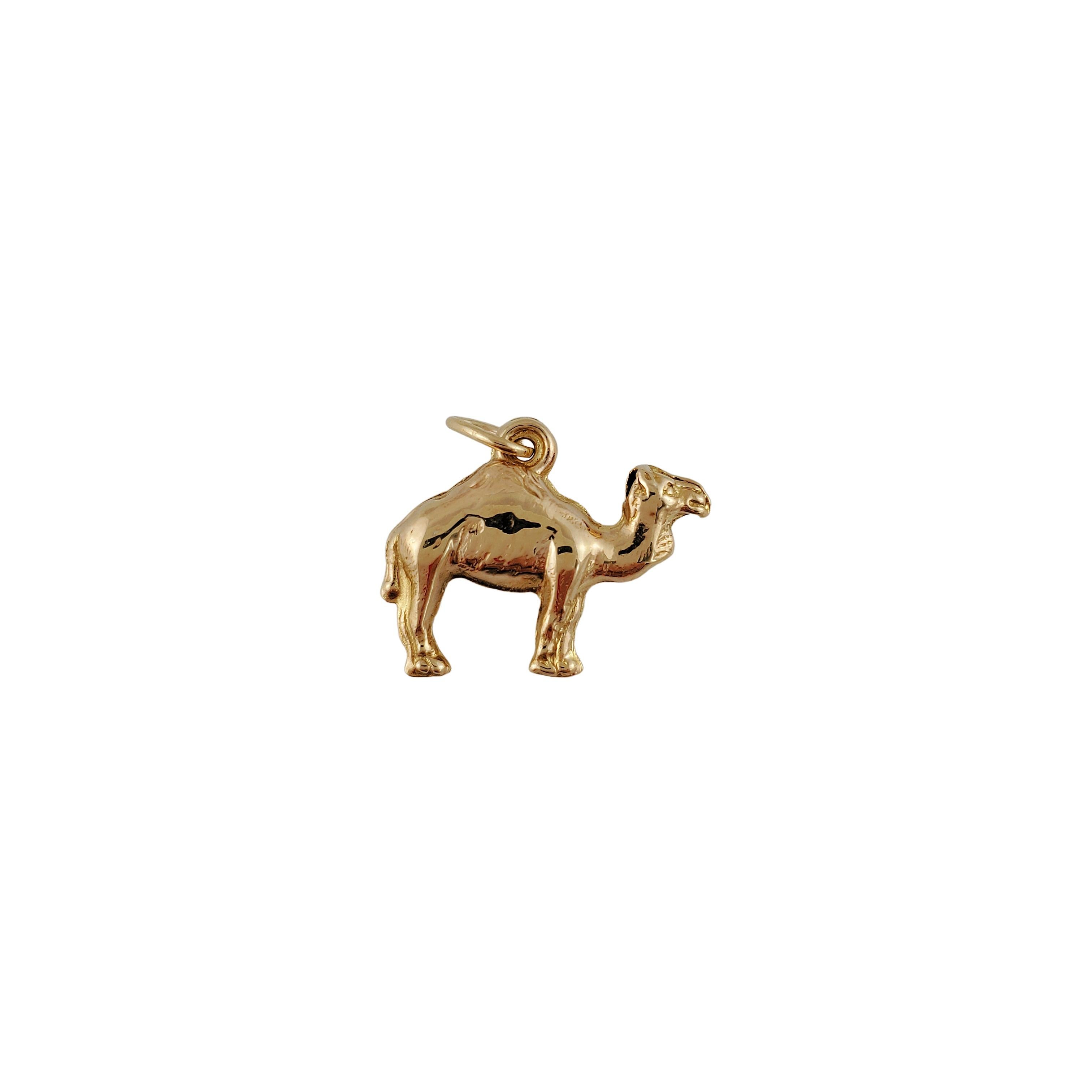 camel necklace