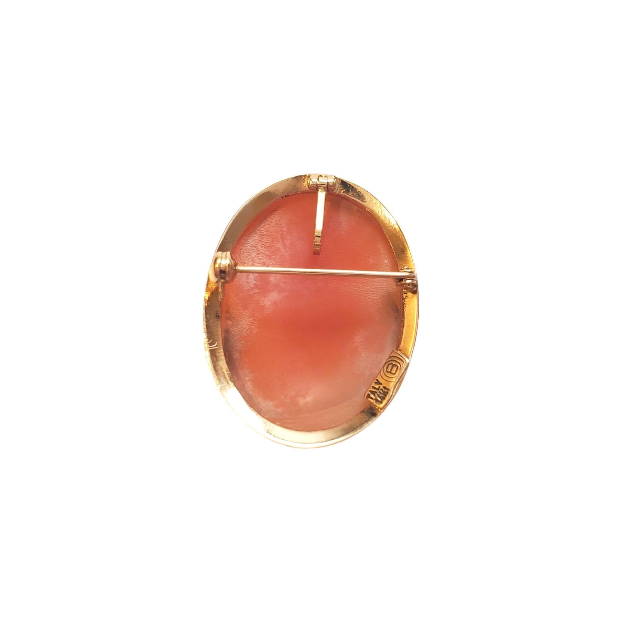 14K Yellow Gold Cameo Pendant/Pin 

Lovely pendant with cameo of woman with crown in 14K yellow gold.

Hallmark: ITALY 14Kt

Weight: 2.3 dwt/3.58 g

Length w/ bail: 33.5 mm

Size: 27.76 mm X 21.44 mm X 6.0 mm

Very good condition, professionally