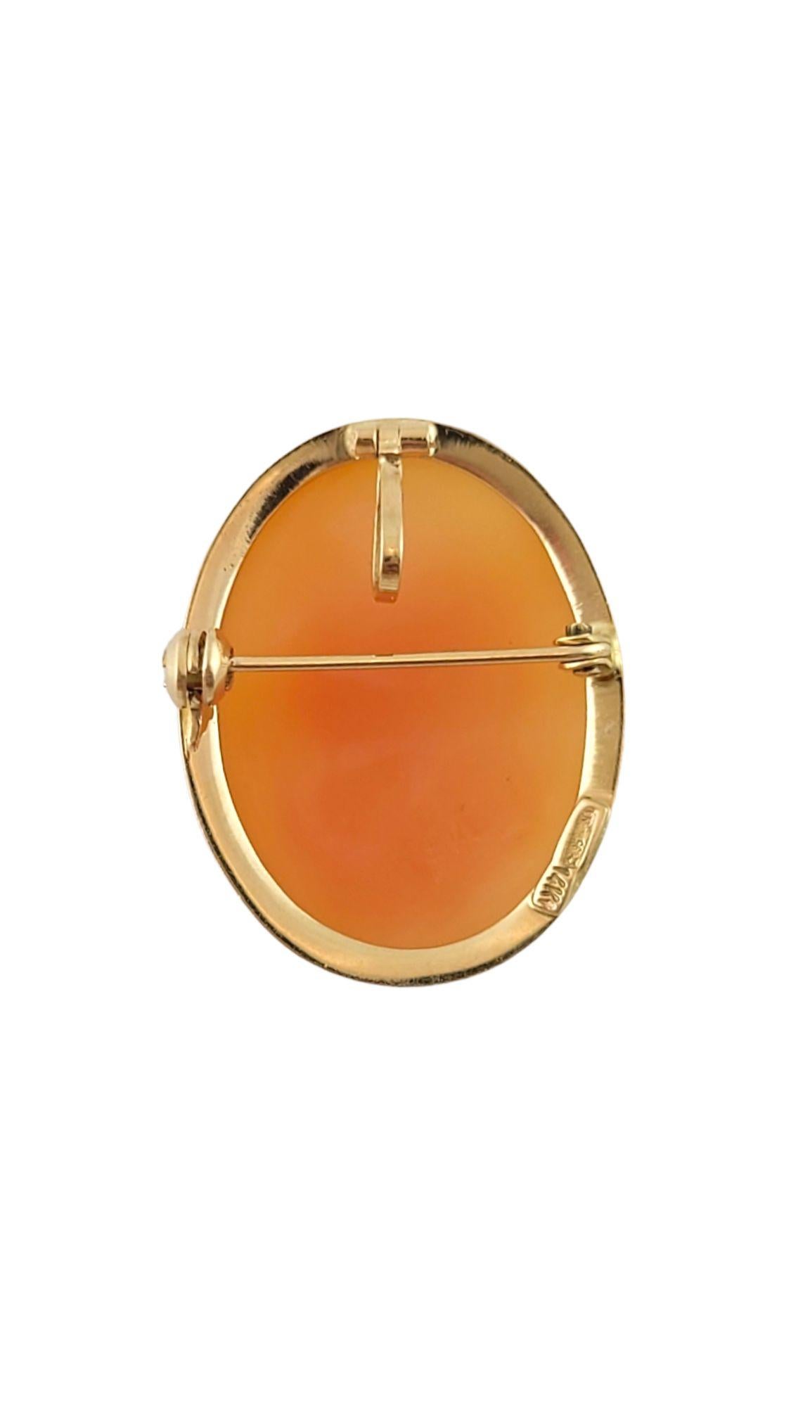 Women's 14K Yellow Gold Cameo Pin/Pendant #14619 For Sale