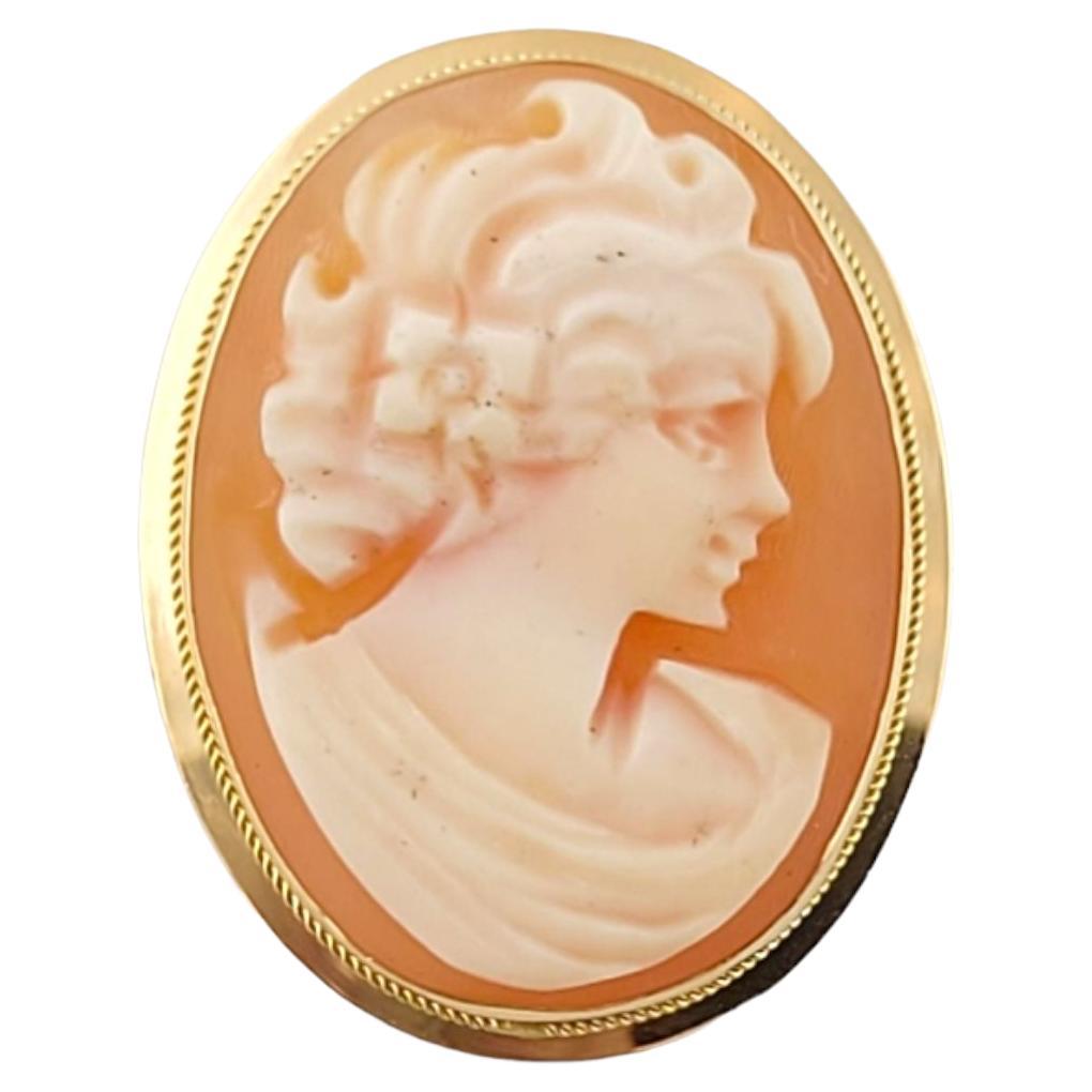 14K Yellow Gold Cameo Pin/Pendant #14619 For Sale