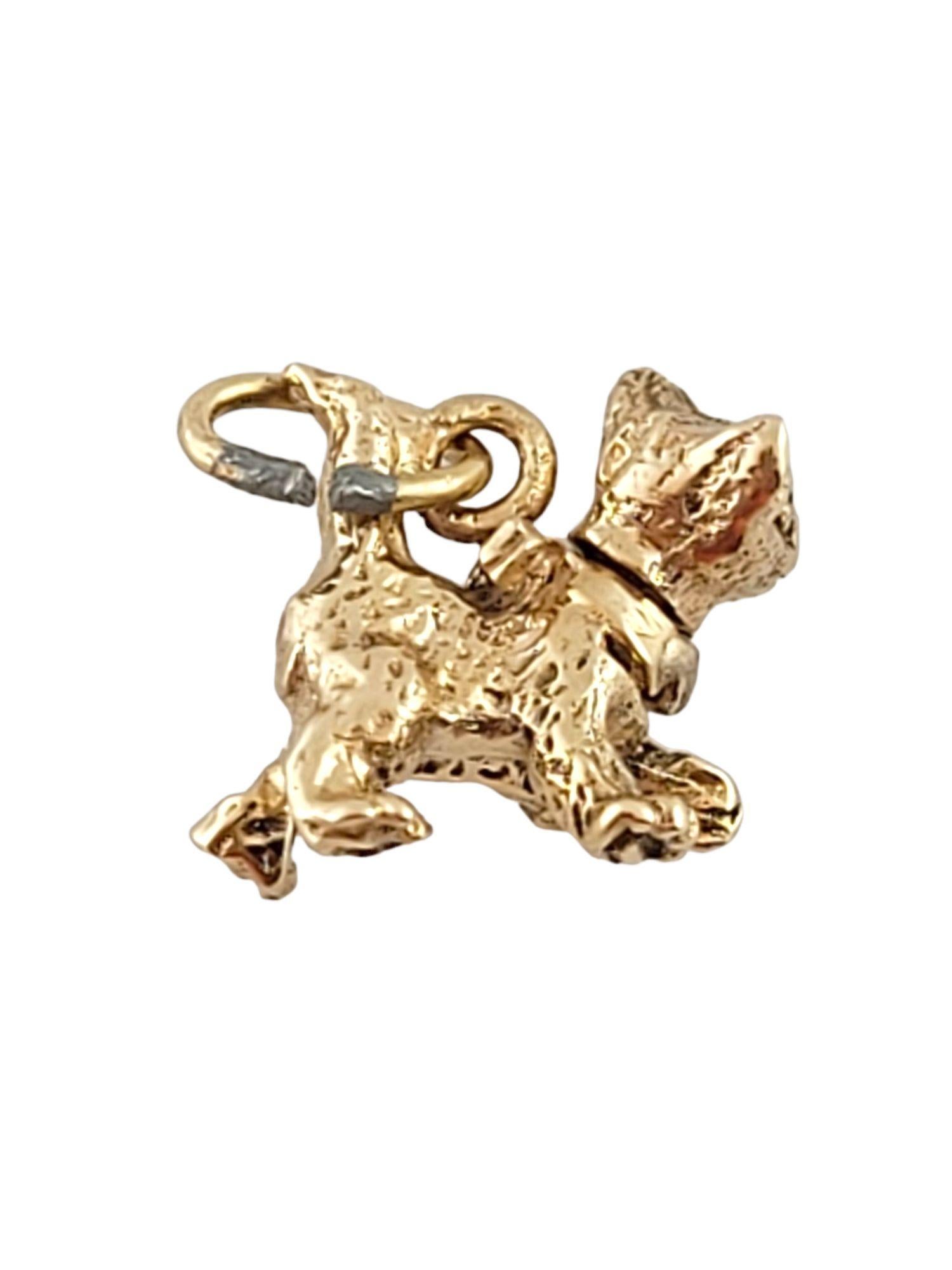 This adorable cat charm crafted from 14K yellow gold is the perfect charm for any cat lover!

Size: 10.6mm X 13.3mm X 6.4mm

Length w/ bail: 13.9mm

Weight: 1.98 g/ 1.3 dwt

Hallmark: 14K

Very good condition, professionally polished.

Will come