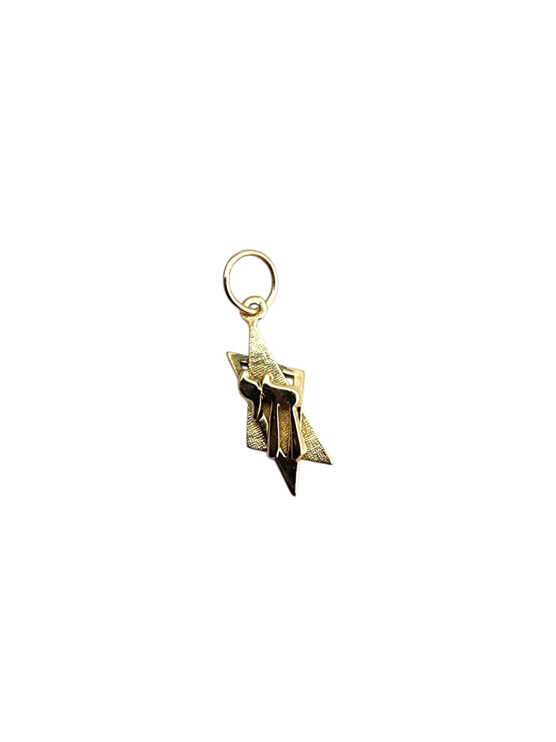 14K Yellow Gold Chai on Jewish Star Charm-

14K yellow gold Chai on Jewish Star charm combining two meaningful symbols—representing life, faith, and heritage in a timeless design.

Size with bail: 21.7 mm x 6.5 mm x 2.4 mm
Size without bail: 17.3