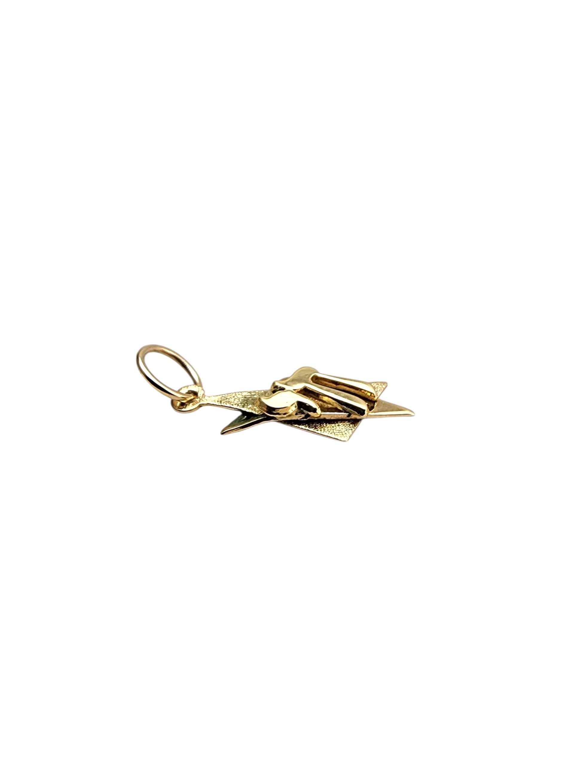 14K Yellow Gold Chai on Jewish Star Charm #22757 For Sale 2